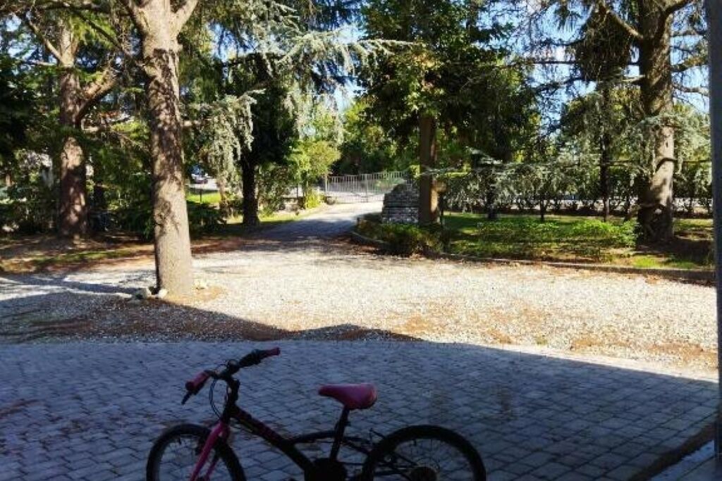 Photo of Outdoor in Viverone