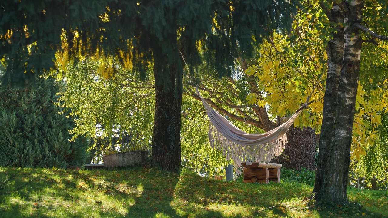 Photo of Outdoor in Sant'Anna d'Alfaedo