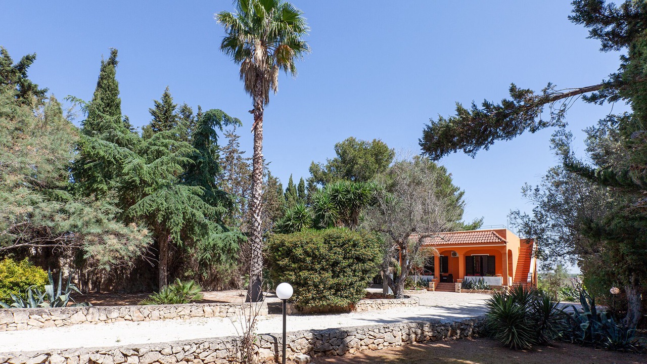 Photo of Outdoor in Collemeto