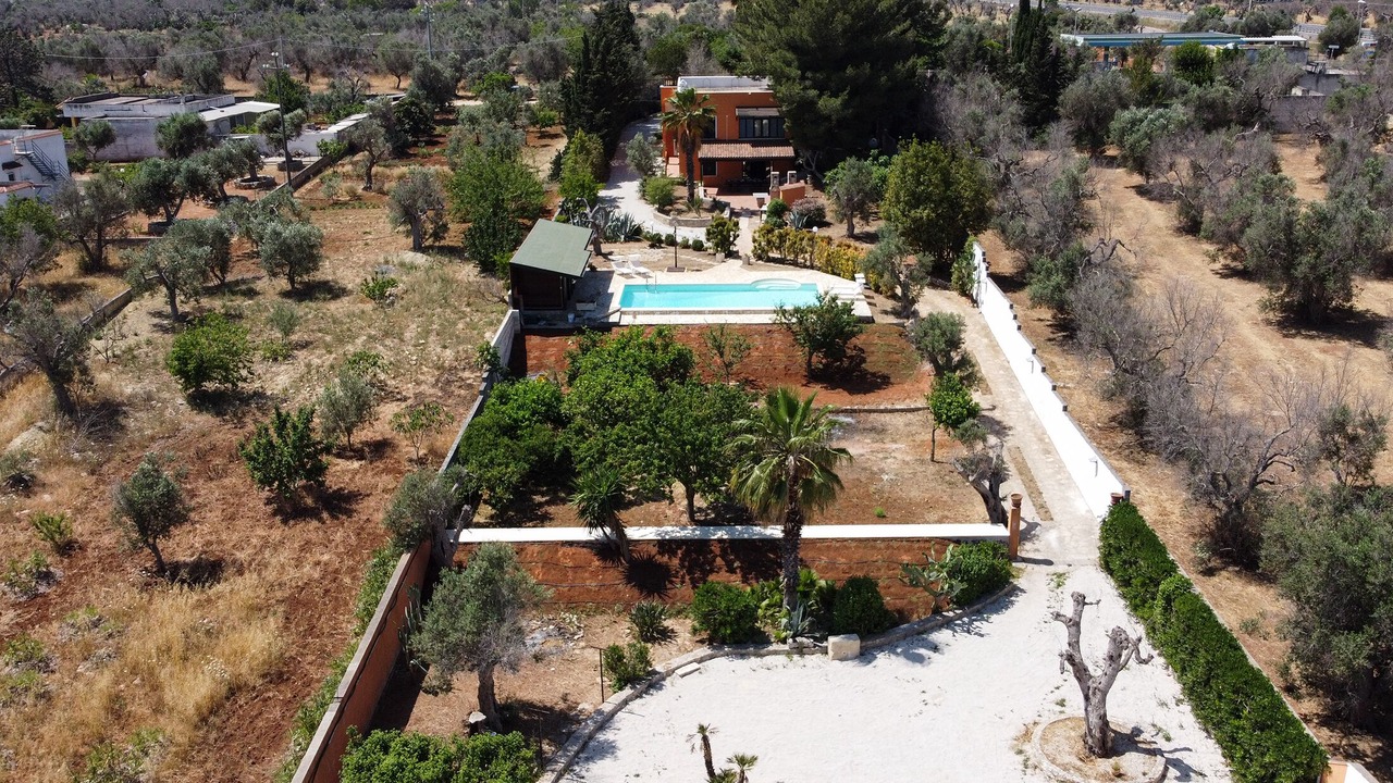 Photo of Outdoor in Collemeto