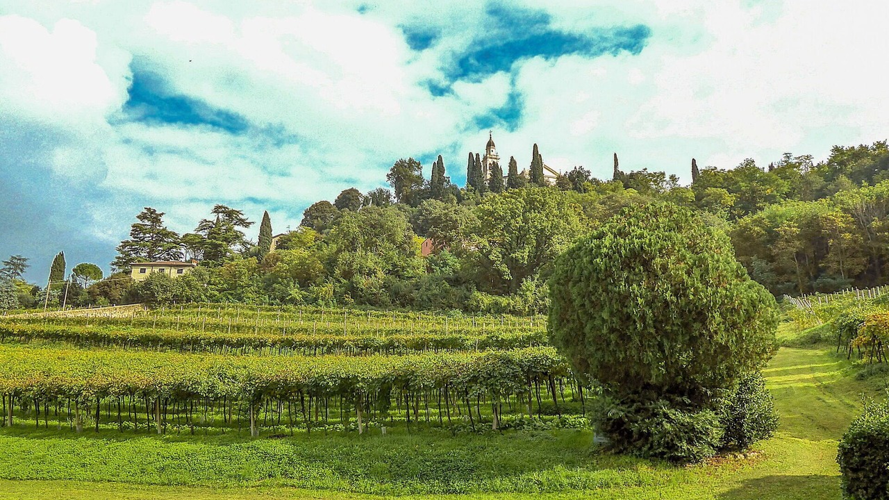Photo of Outdoor in Colognola ai Colli