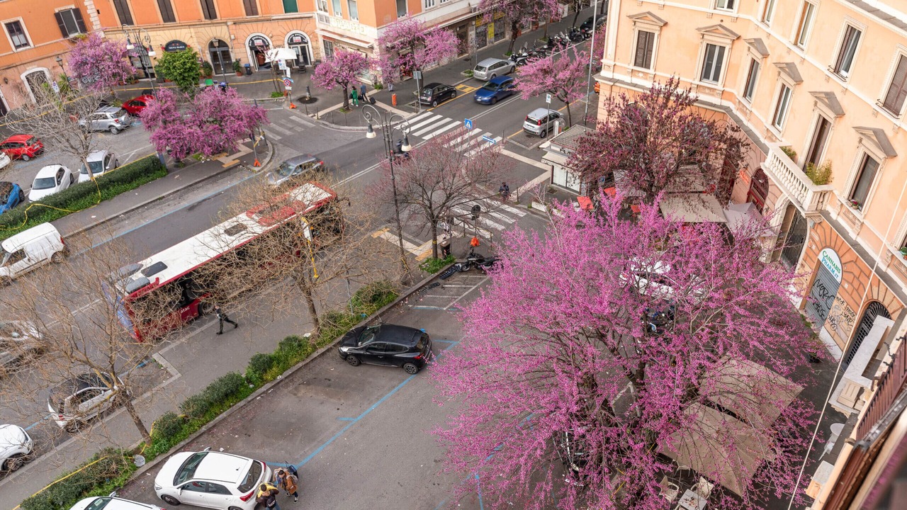 Photo of Outdoor in San Lorenzo