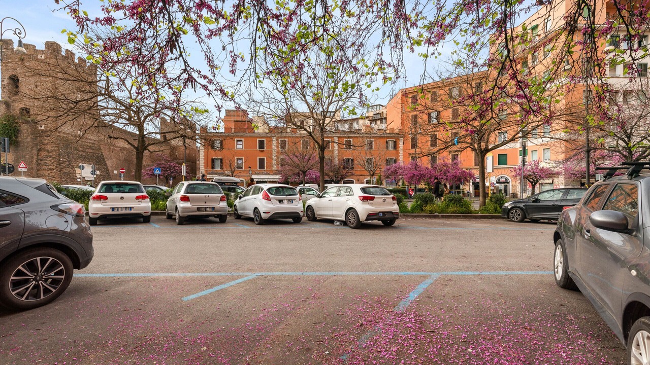 Photo of Outdoor in San Lorenzo