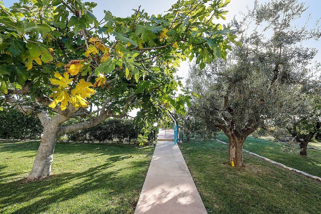 Photo of Outdoor in Cupra Marittima