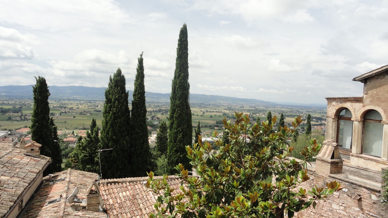 Photo of Others in Spello