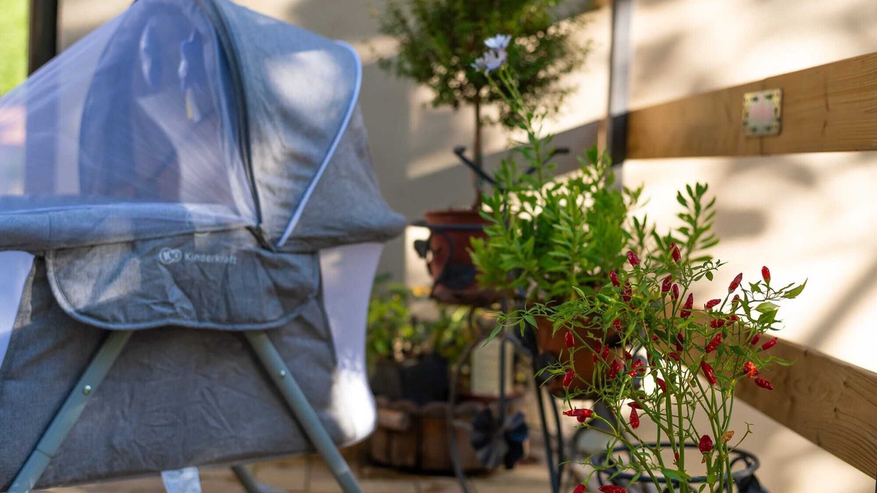 Photo of Outdoor in Lidarno