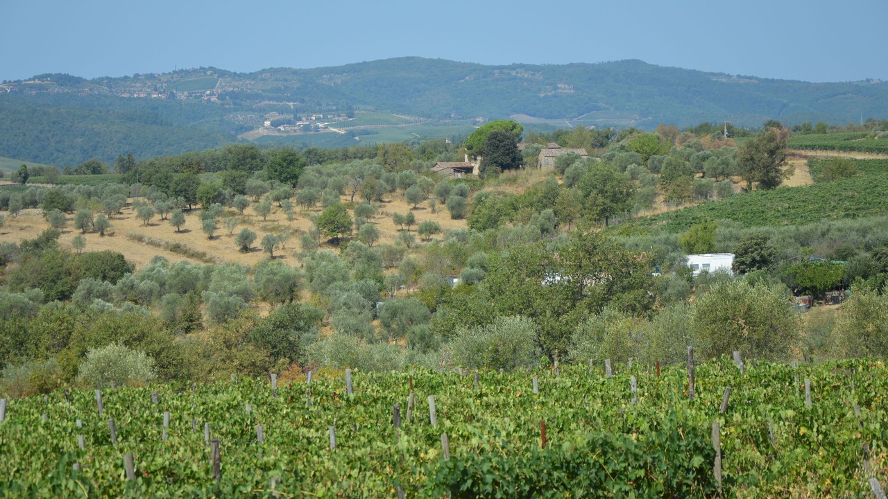 Photo of Others in Monti