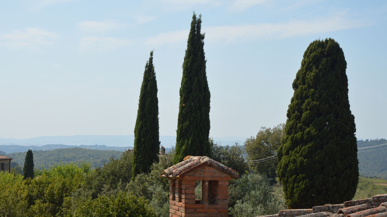 Photo of Others in Monti
