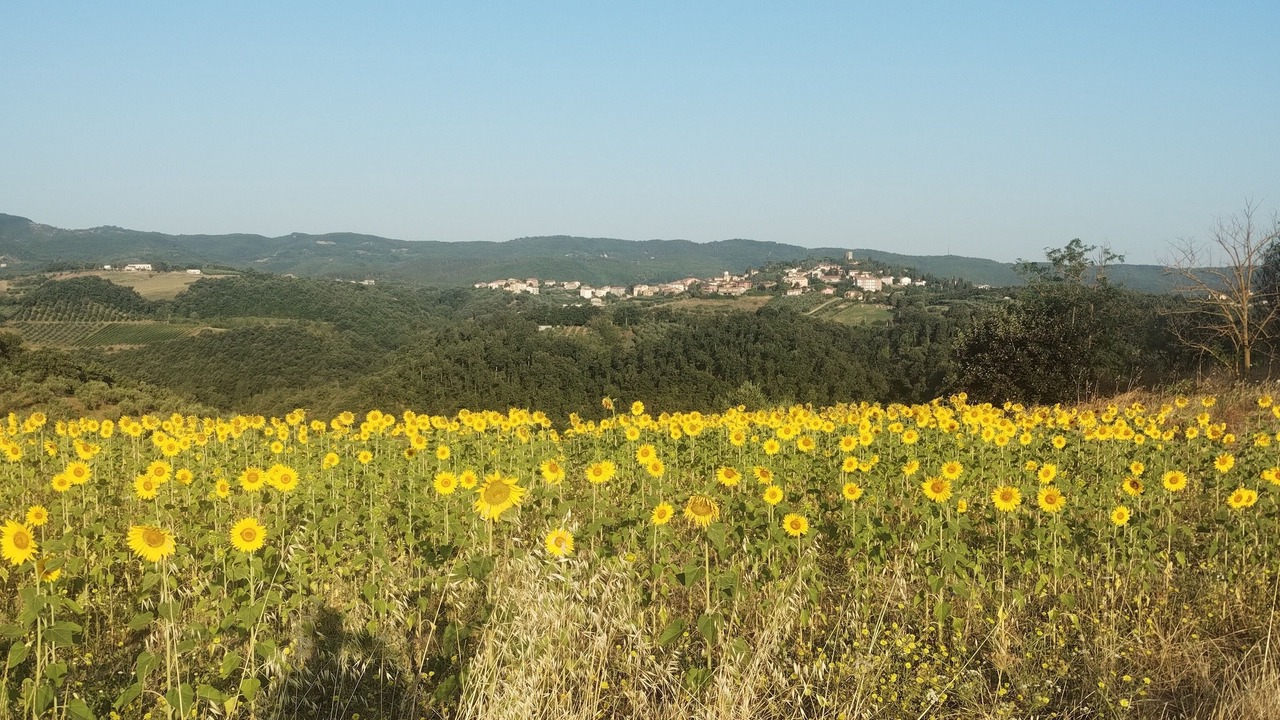 Photo of Others in San Venanzo