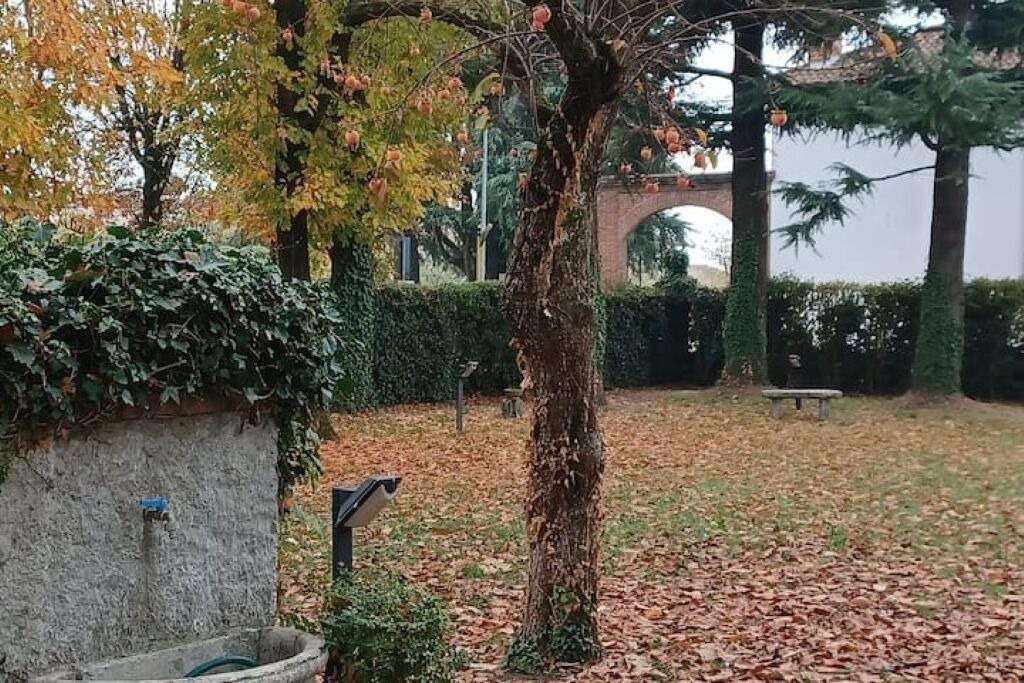 Photo of Outdoor in Orio Litta