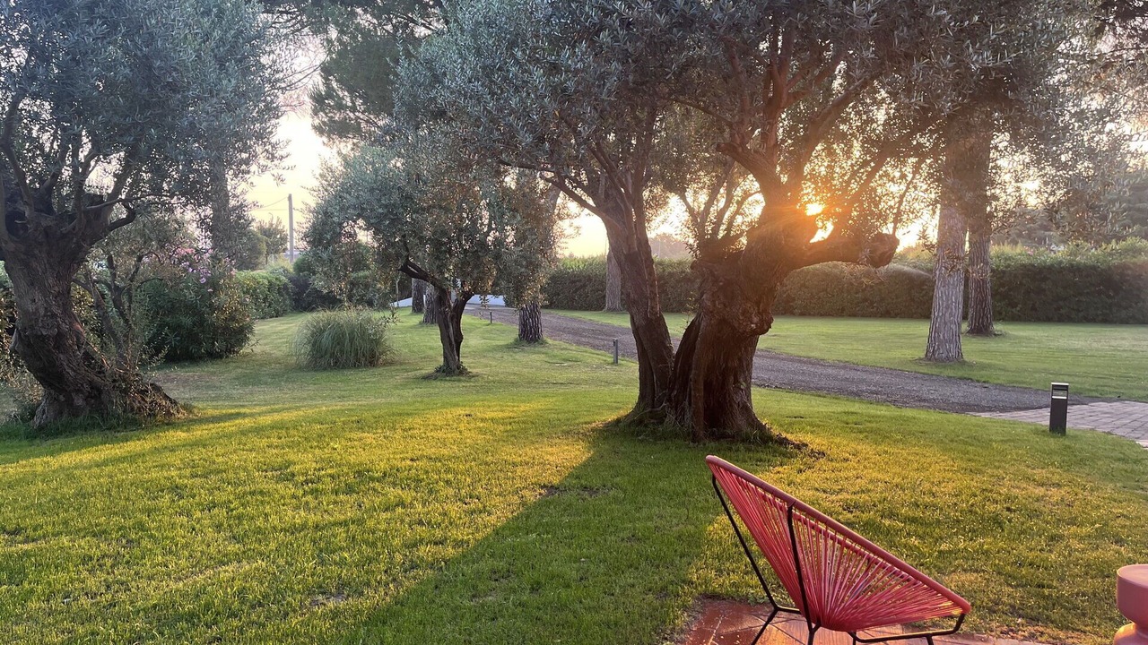 Photo of Others in Santarcangelo di Romagna