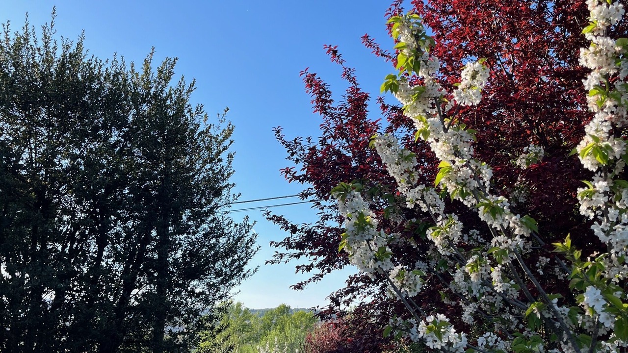 Photo of Outdoor in Imola