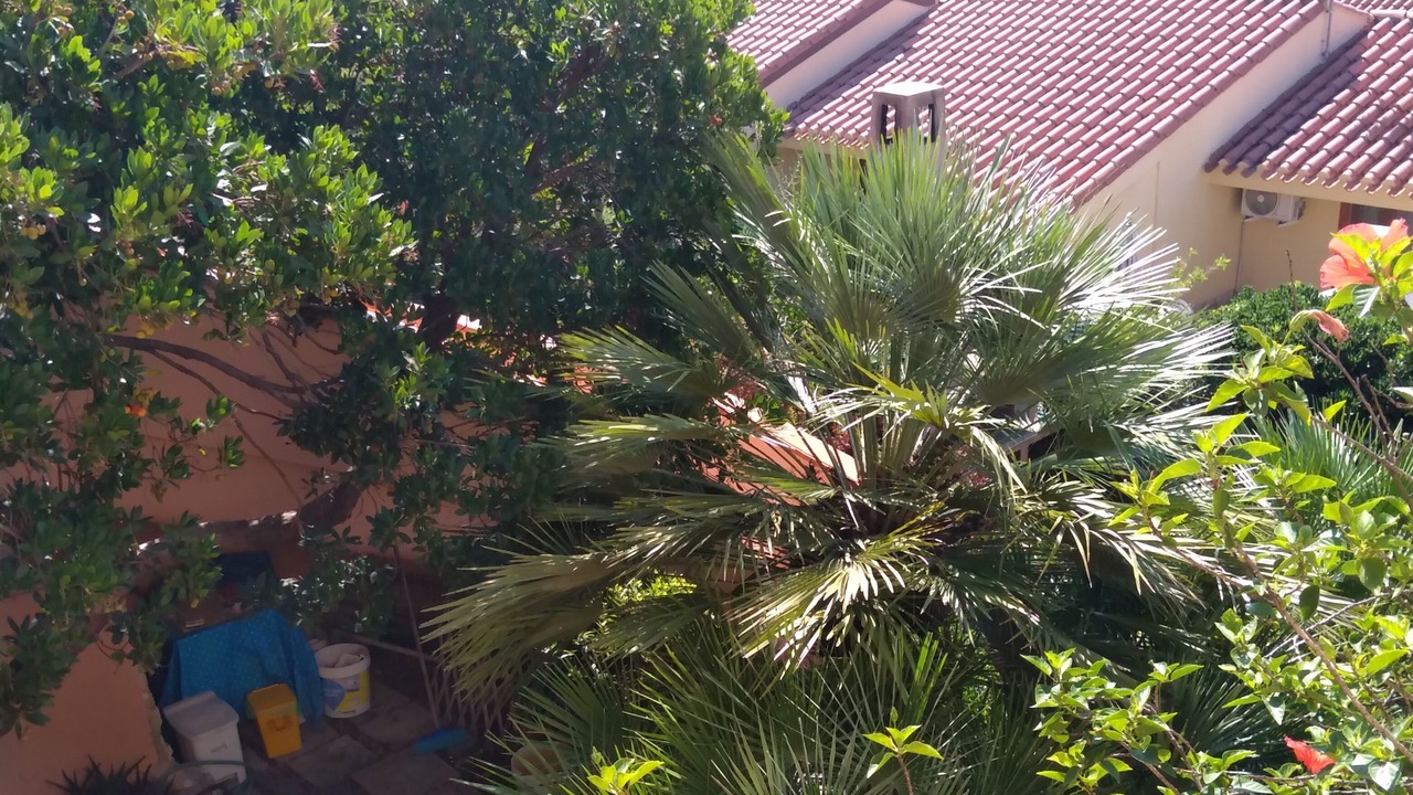 Photo of Outdoor in Funtana Meiga