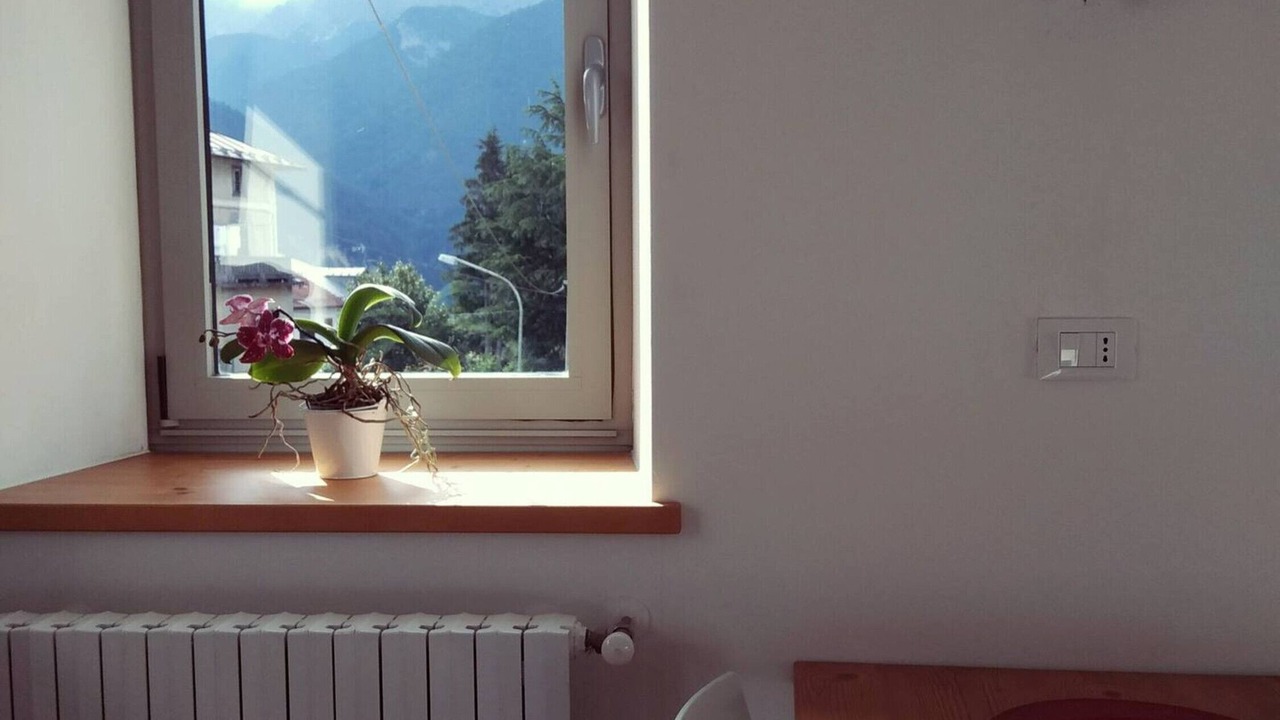 Photo of Others in Lorenzago di Cadore