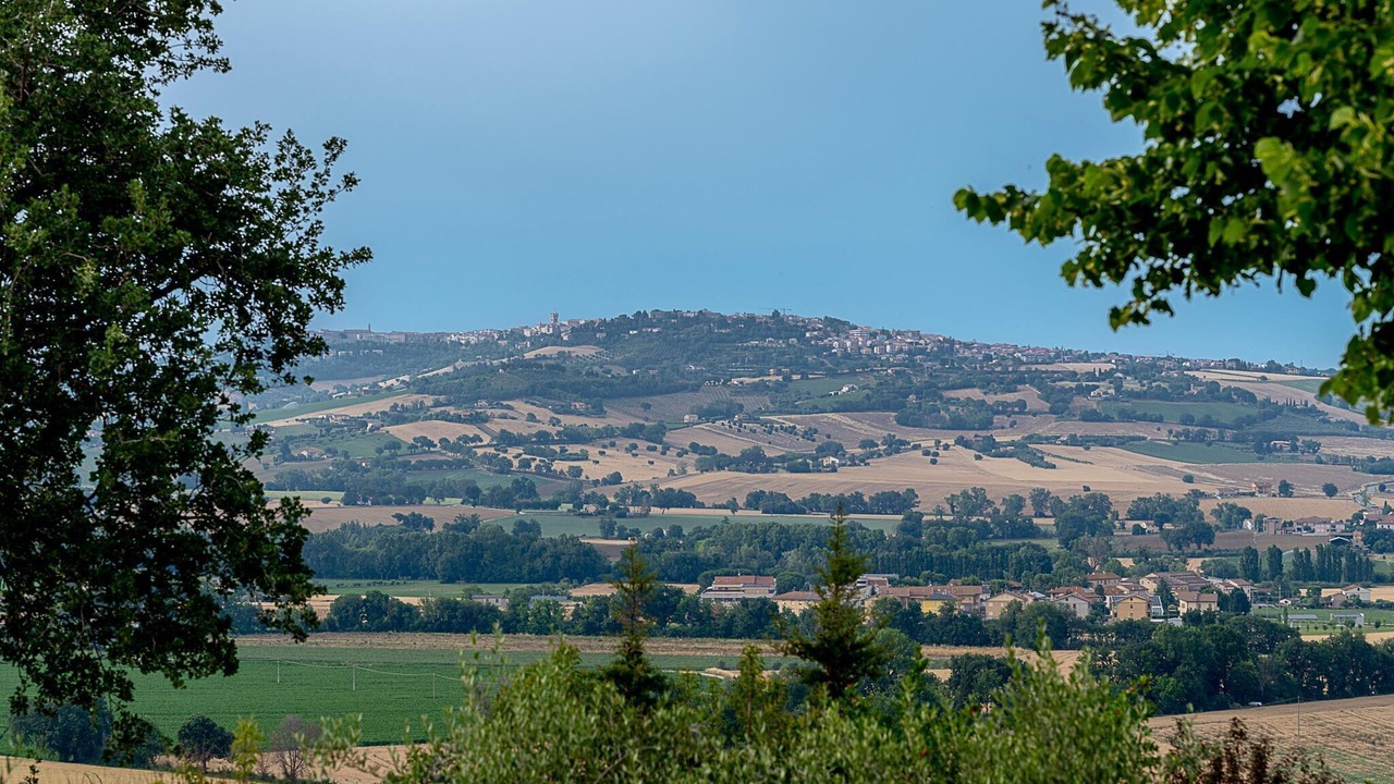 Photo of Others in Montelupone