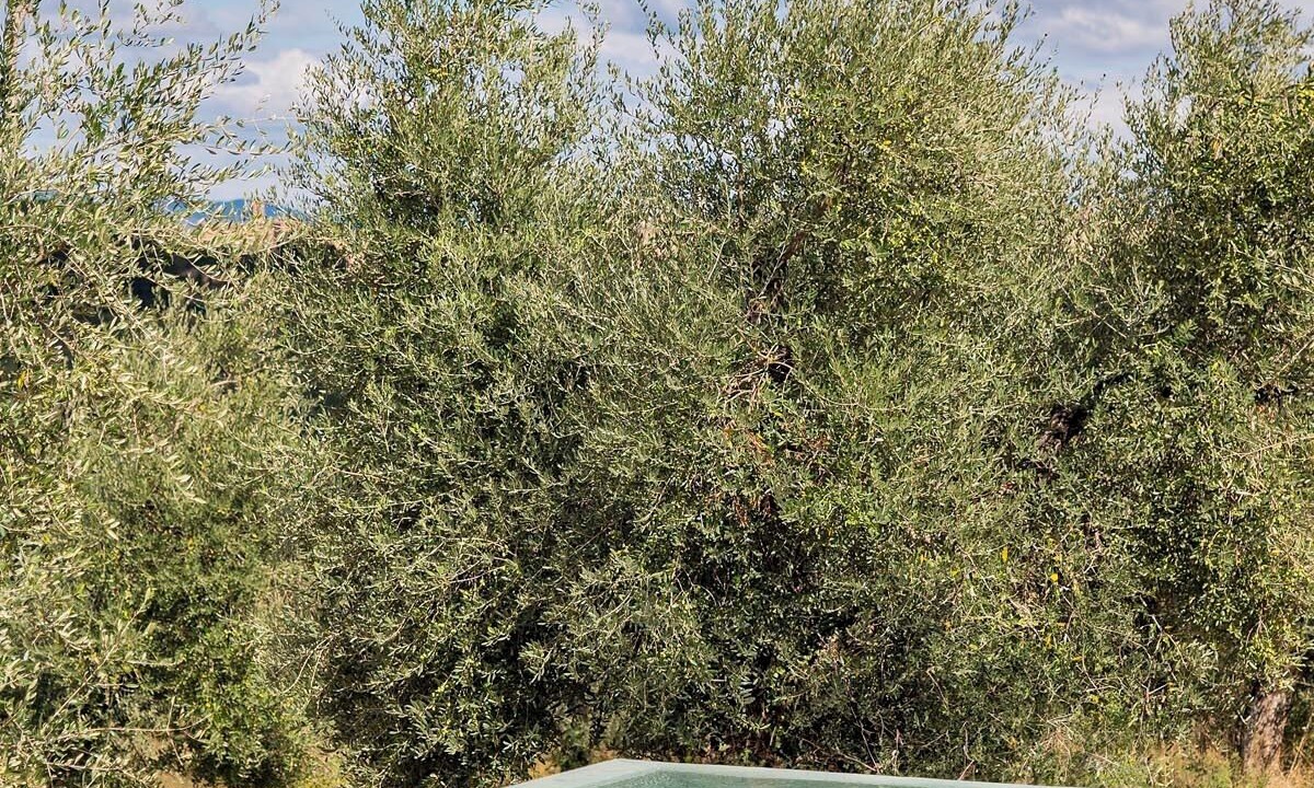 Photo of Outdoor in Siena