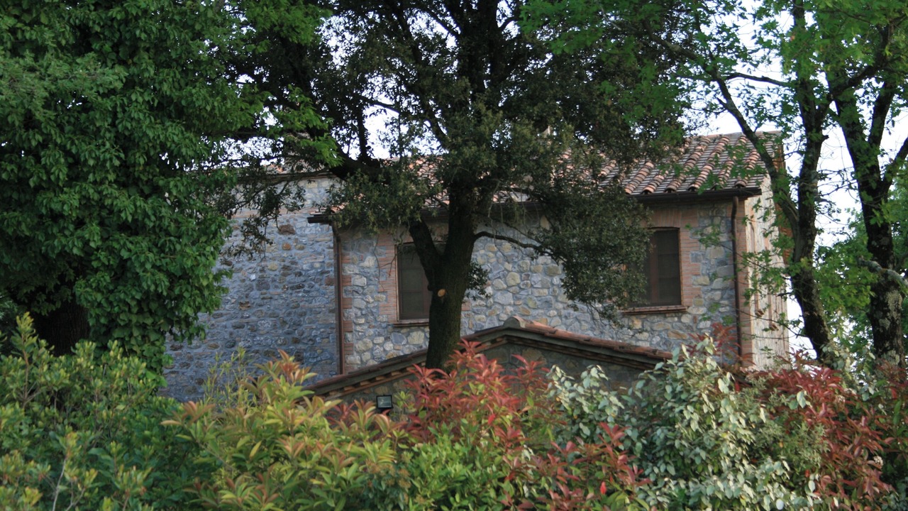 Photo of Outdoor in Ficulle