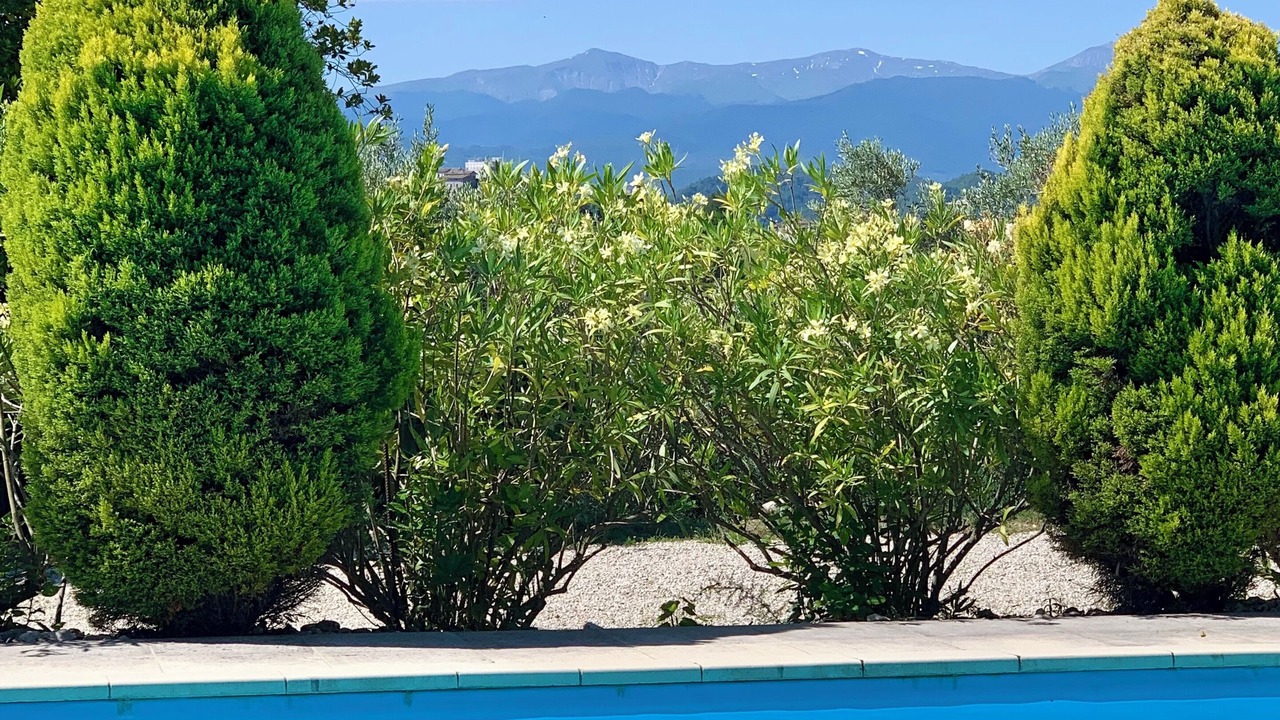 Photo of Outdoor in Venarotta