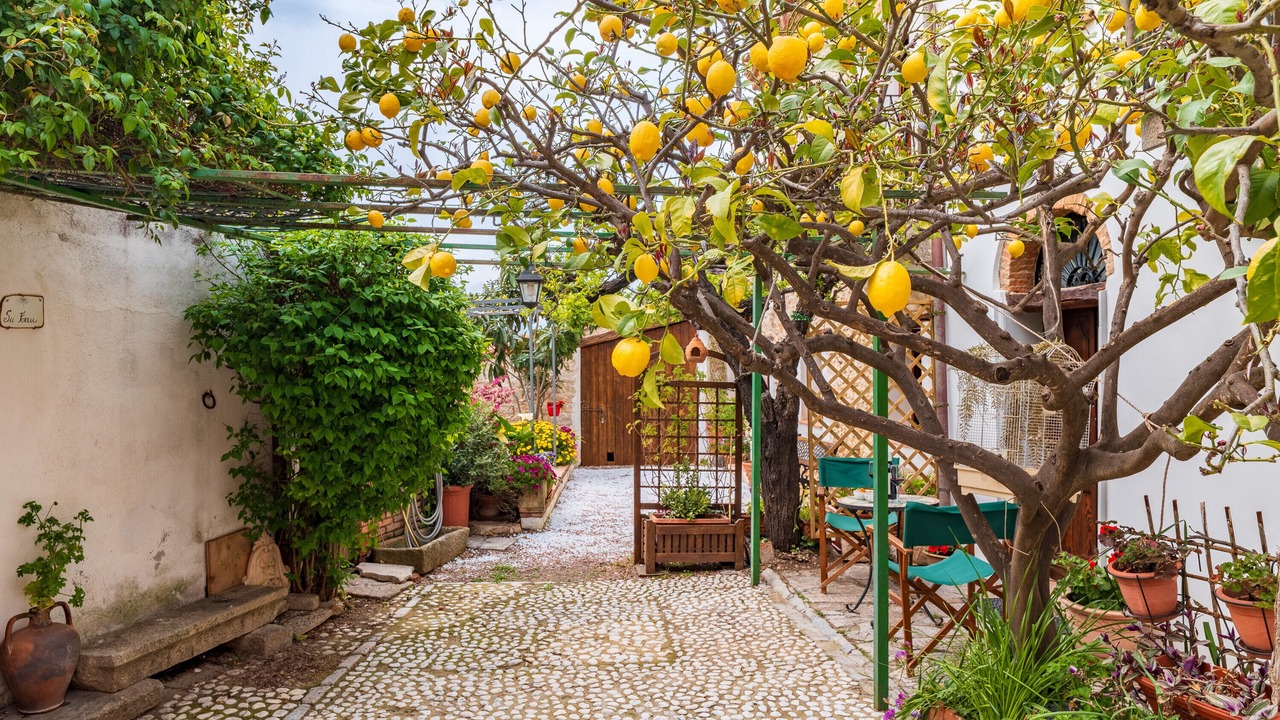 Photo of Outdoor in Baunei