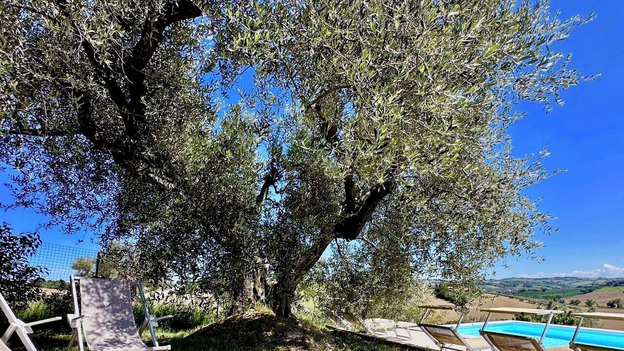 Photo of Outdoor in Senigallia