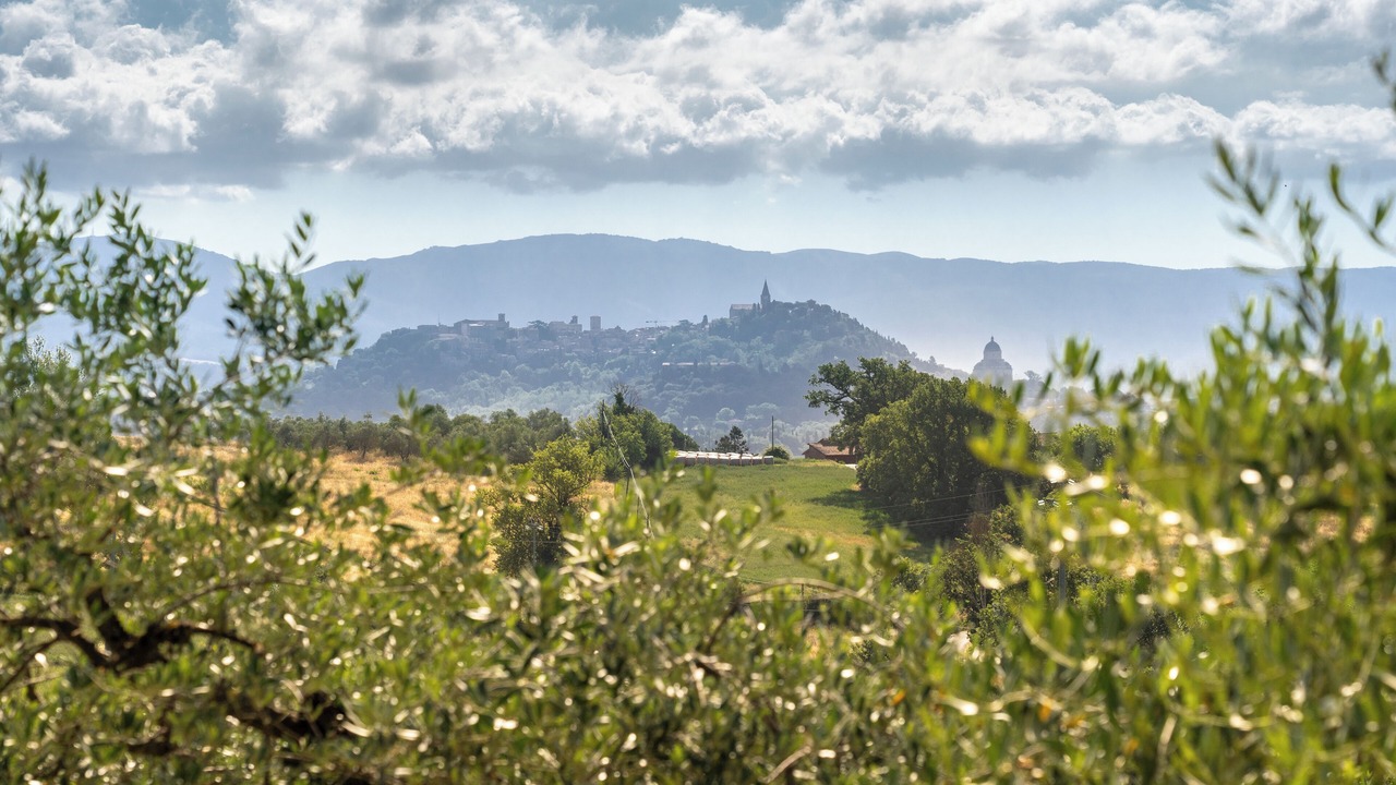 Photo of Others in Todi