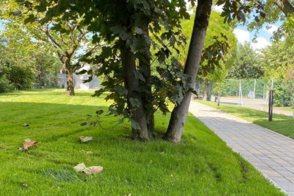 Photo of Outdoor in Villanova