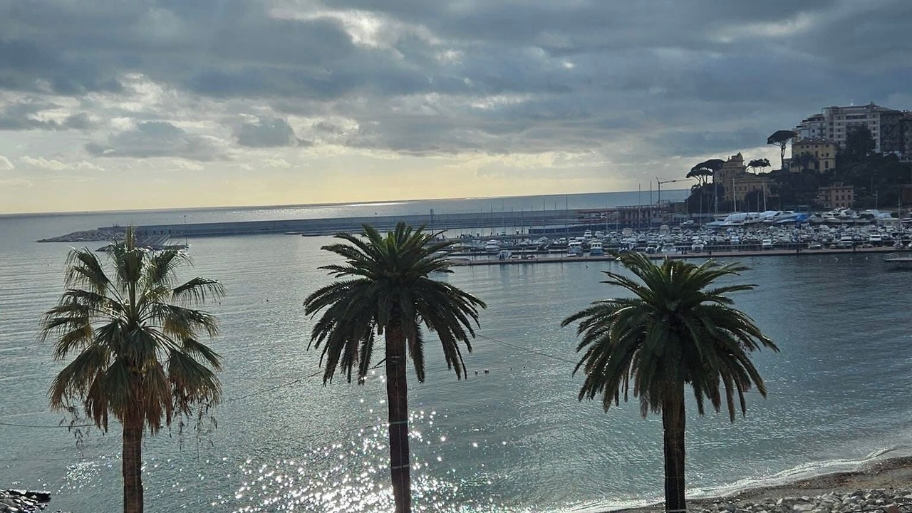 Photo of Others in Rapallo
