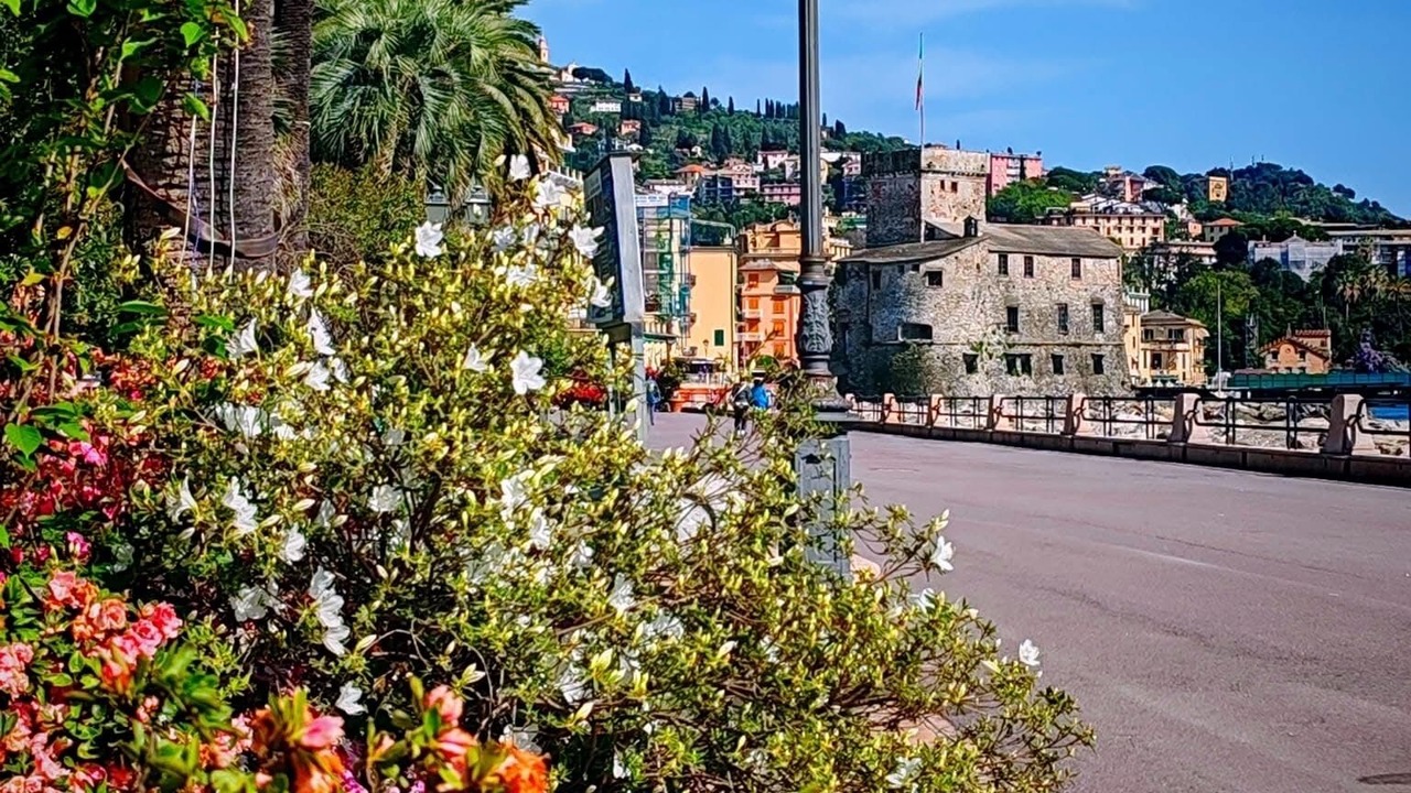 Photo of Others in Rapallo
