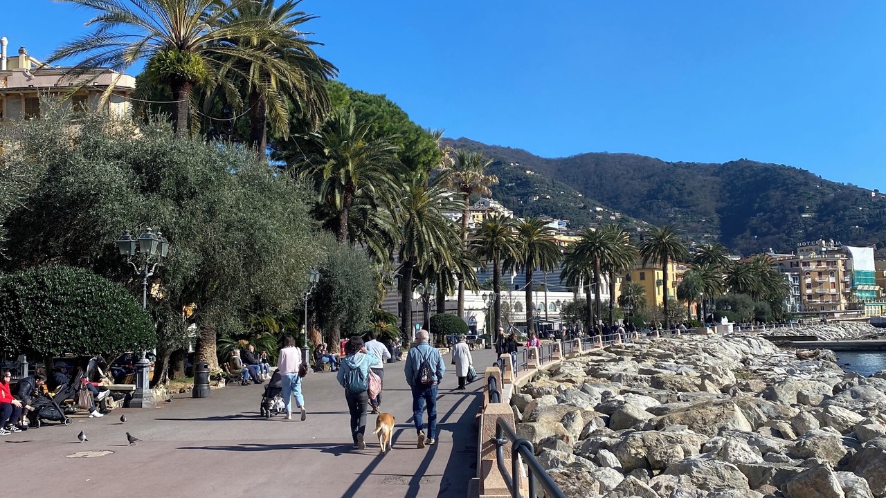 Photo of Others in Rapallo