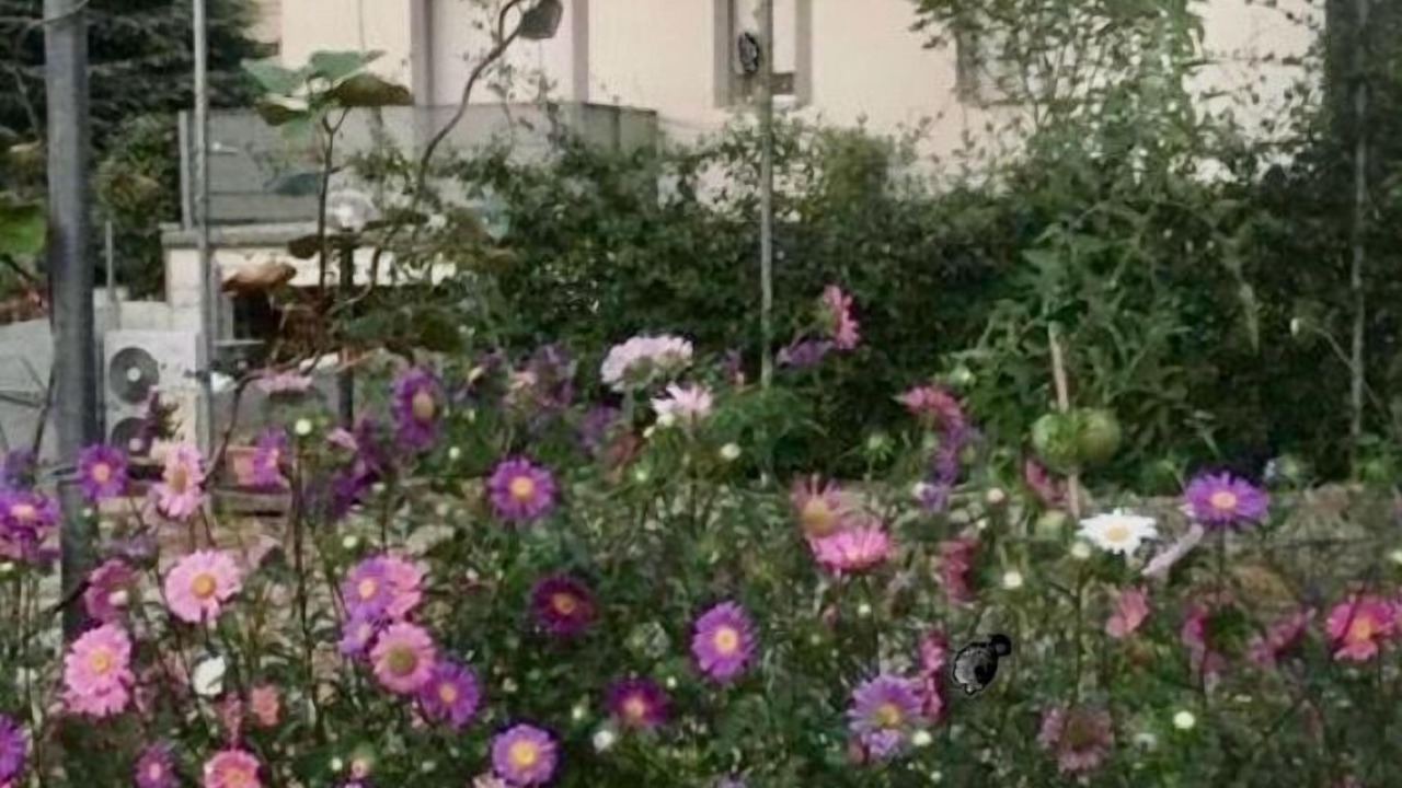 Photo of Outdoor in Merate