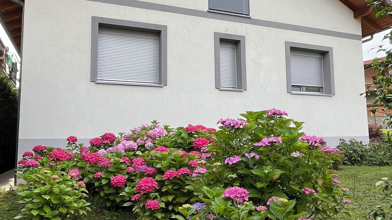 Photo of Outdoor in Merate