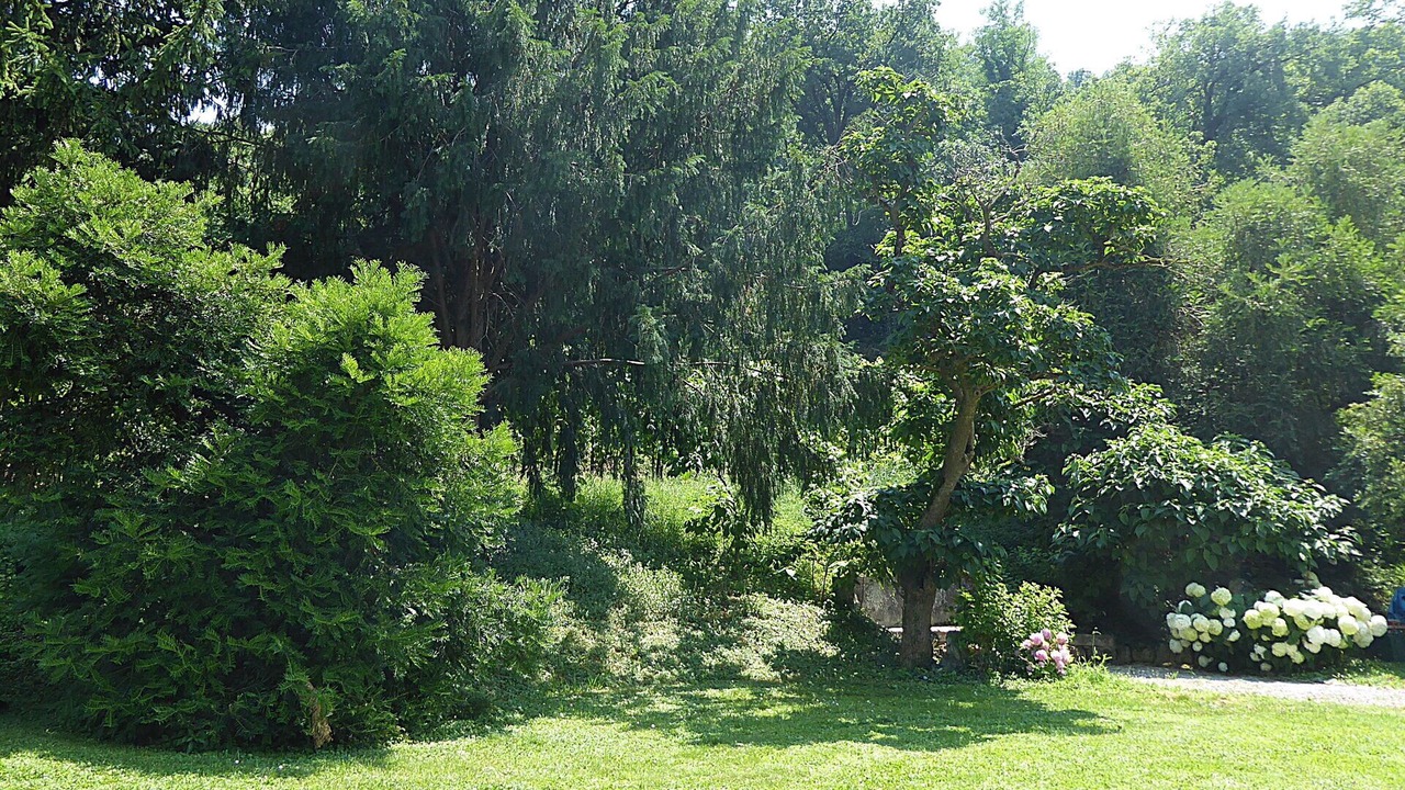 Photo of Outdoor in Colognola ai Colli