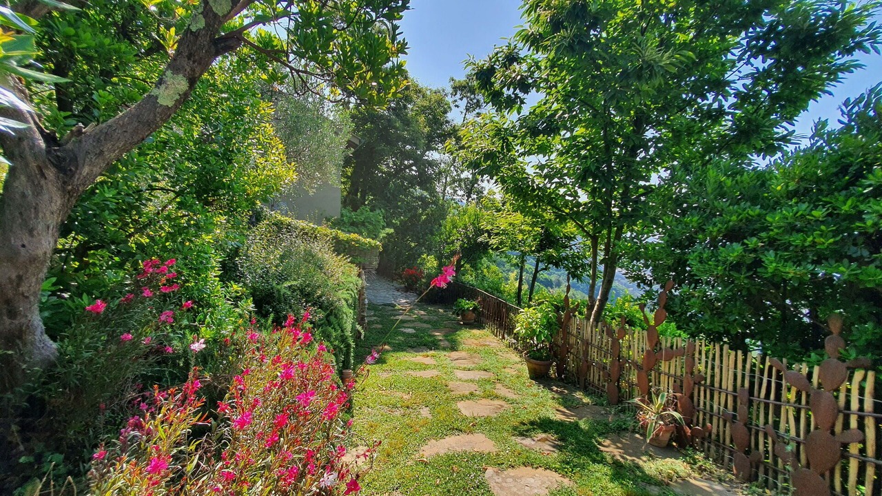 Photo of Outdoor in Seravezza