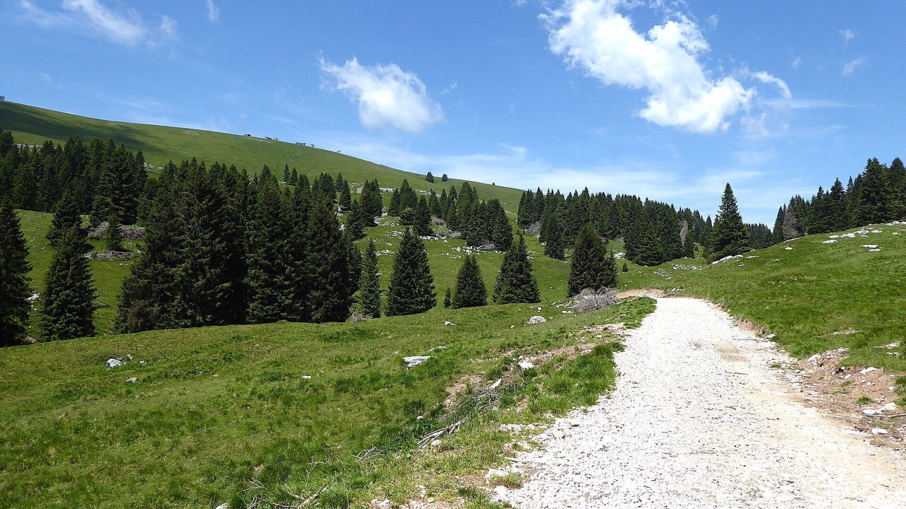Photo of Others in Lozzo di Cadore