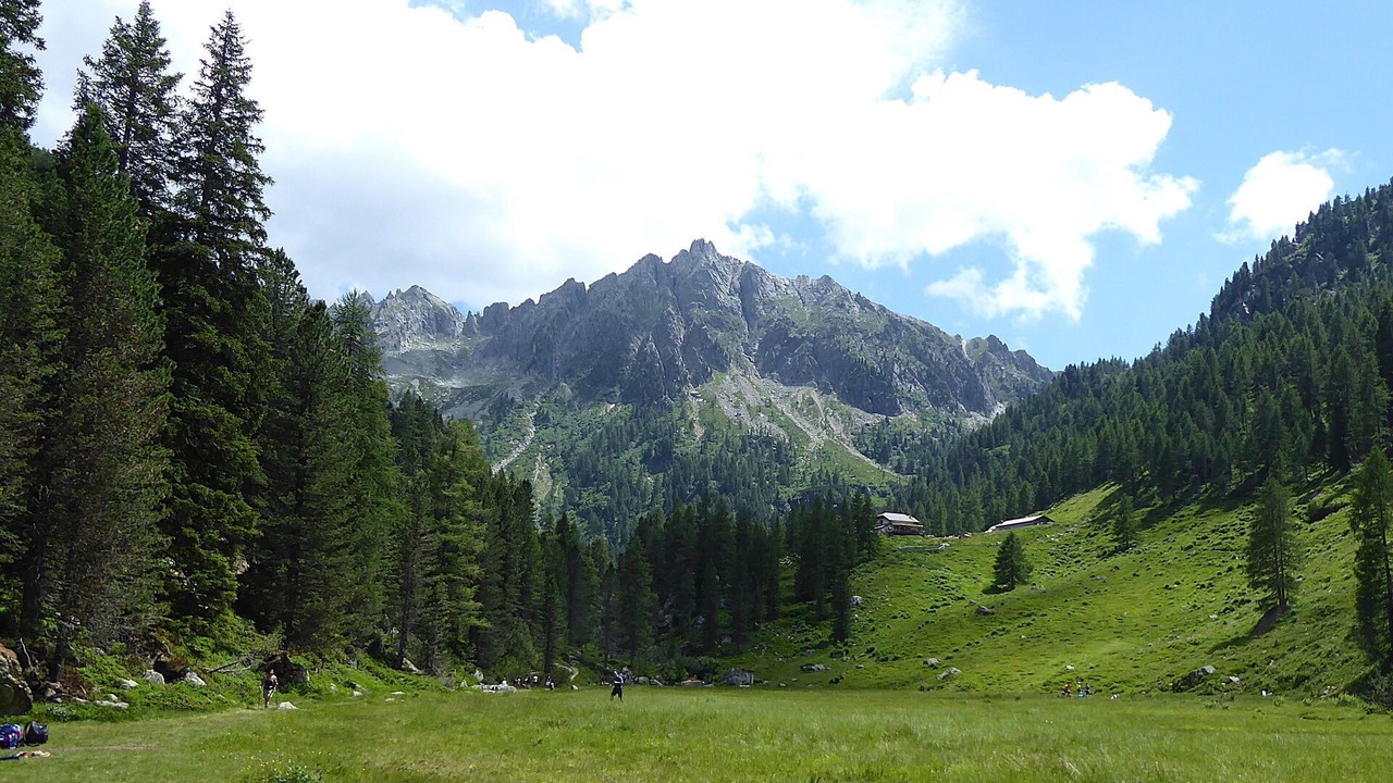 Photo of Others in Lozzo di Cadore