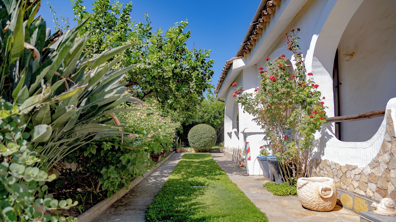 Photo of Outdoor in Capitana