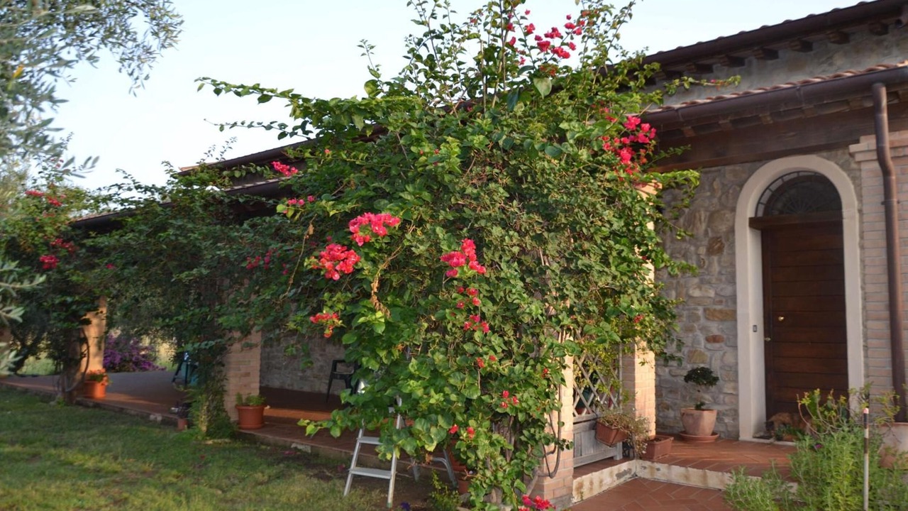 Photo of Outdoor in Girasole