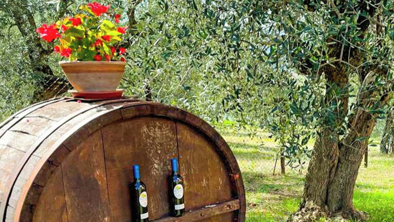 Photo of Outdoor in Panicale