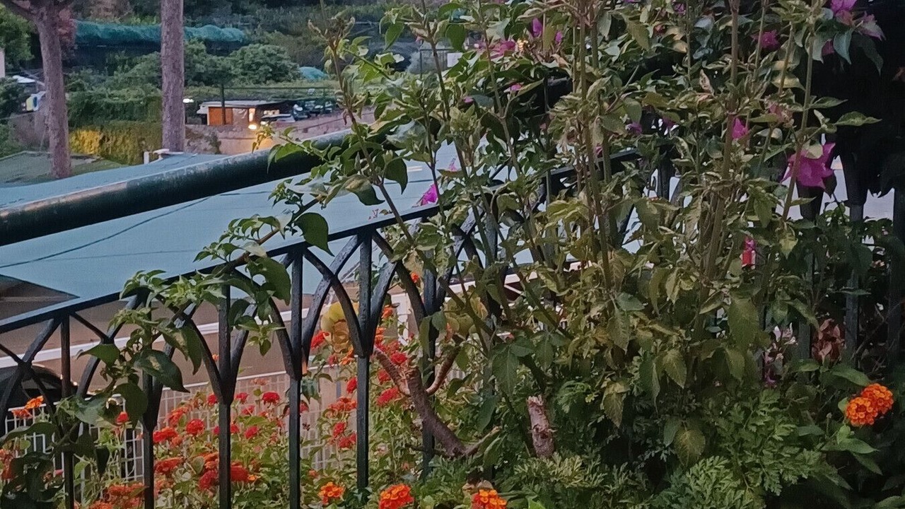 Photo of Outdoor in Maiori