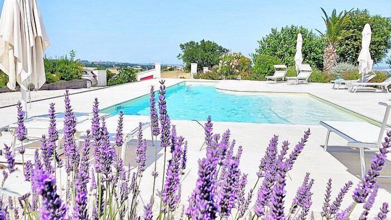 Photo of Outdoor in Monsano