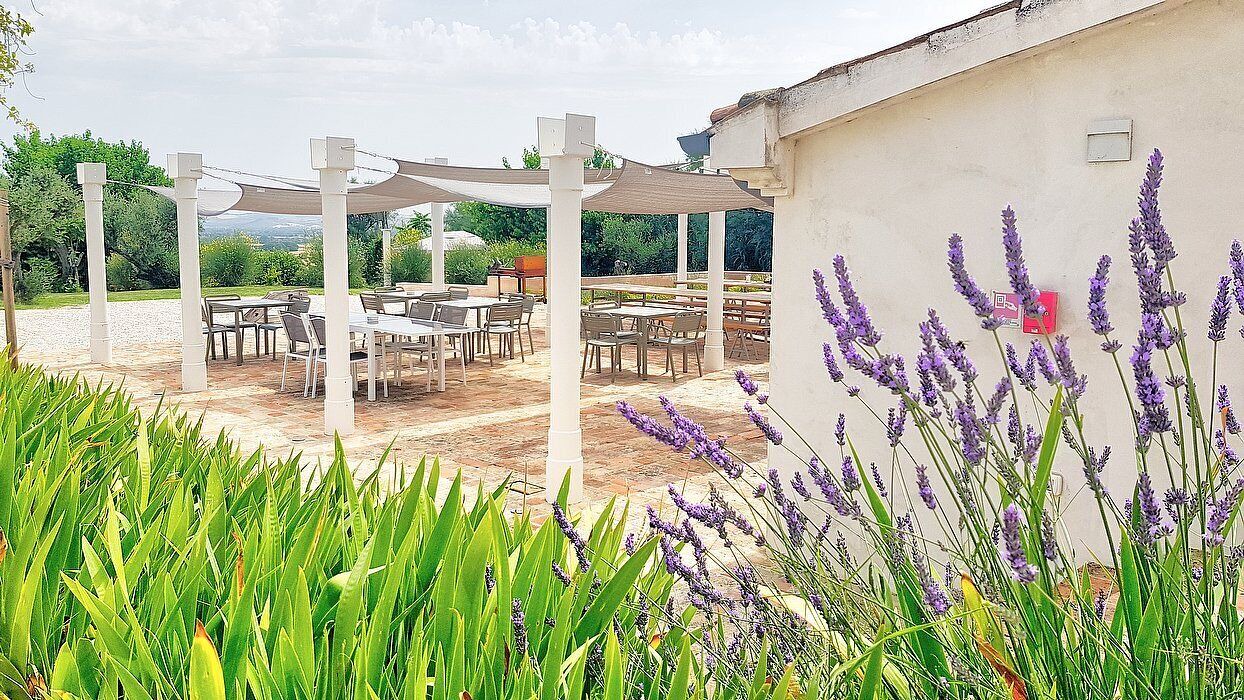 Photo of Outdoor in Monsano