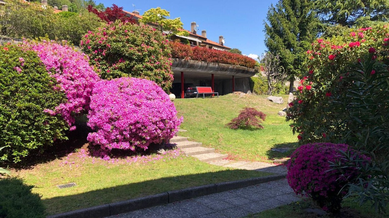 Photo of Others in Verbania