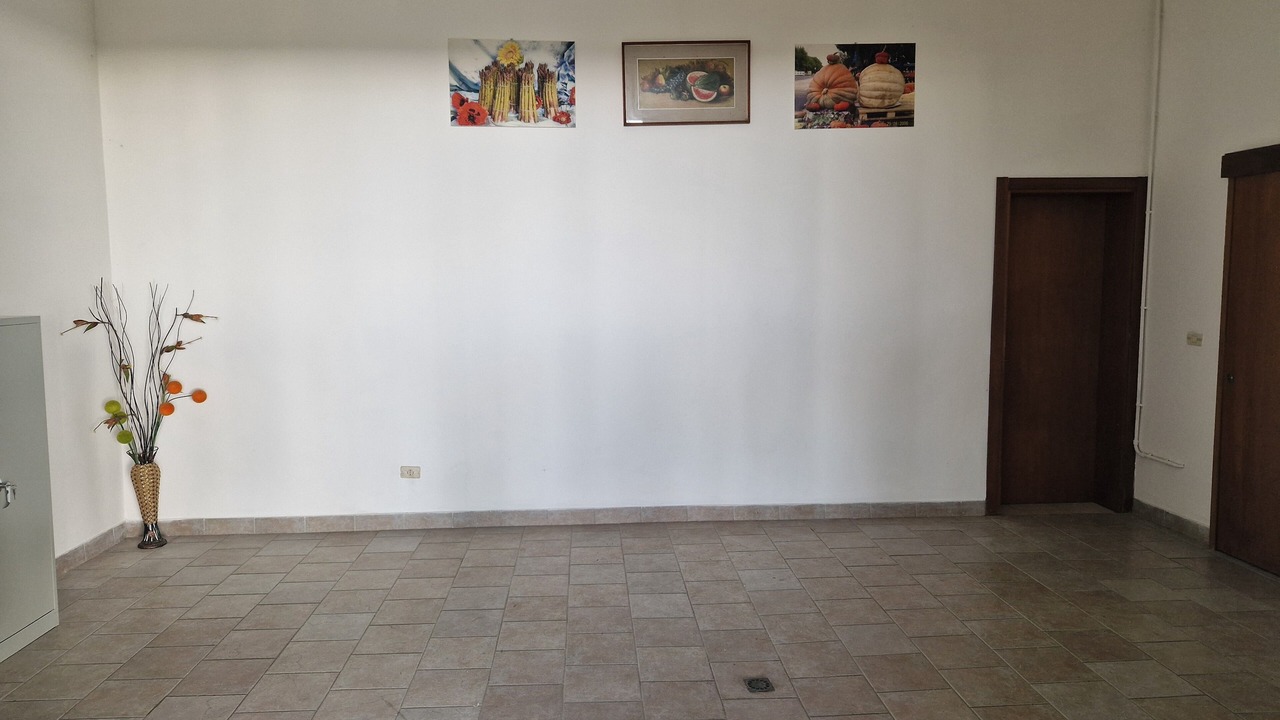 Photo of Others in Mesola