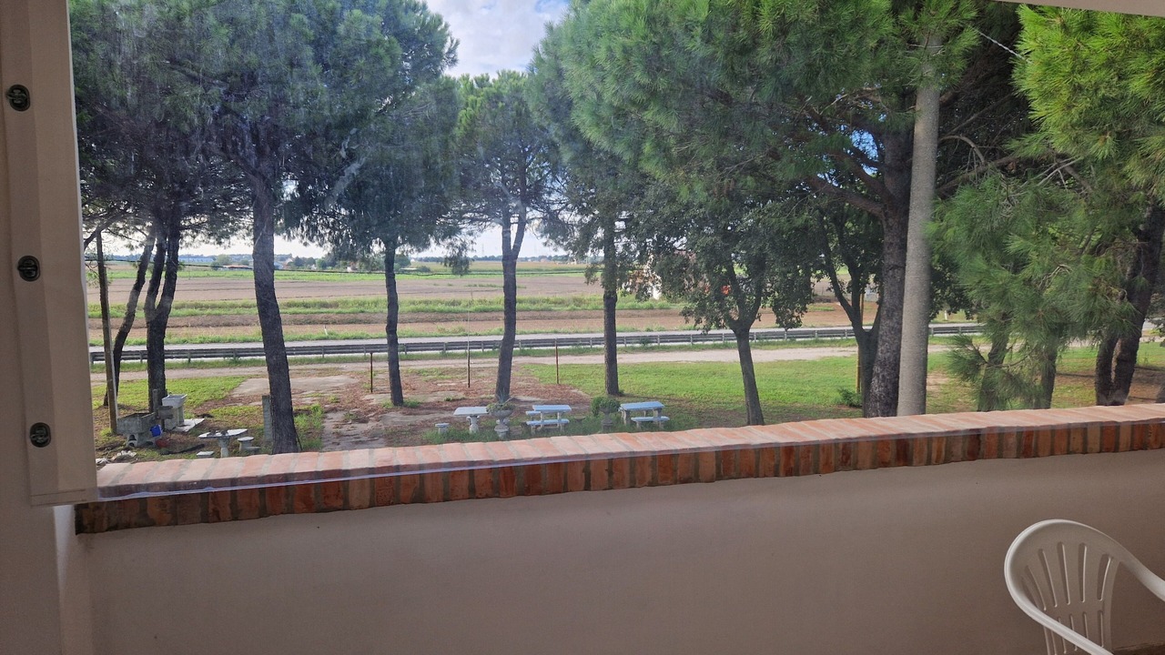 Photo of Others in Mesola
