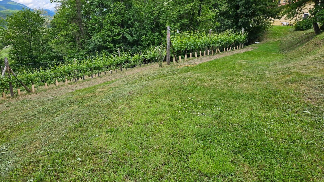 Photo of Outdoor in Castelnuovo di Garfagnana