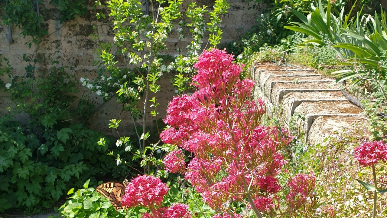 Photo of Outdoor in Otricoli