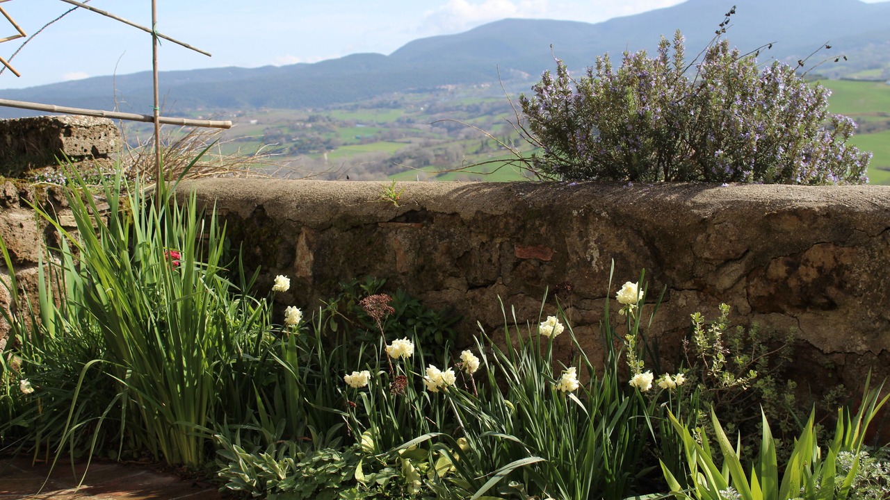 Photo of Outdoor in Otricoli
