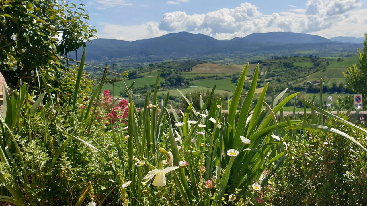 Photo of Outdoor in Otricoli
