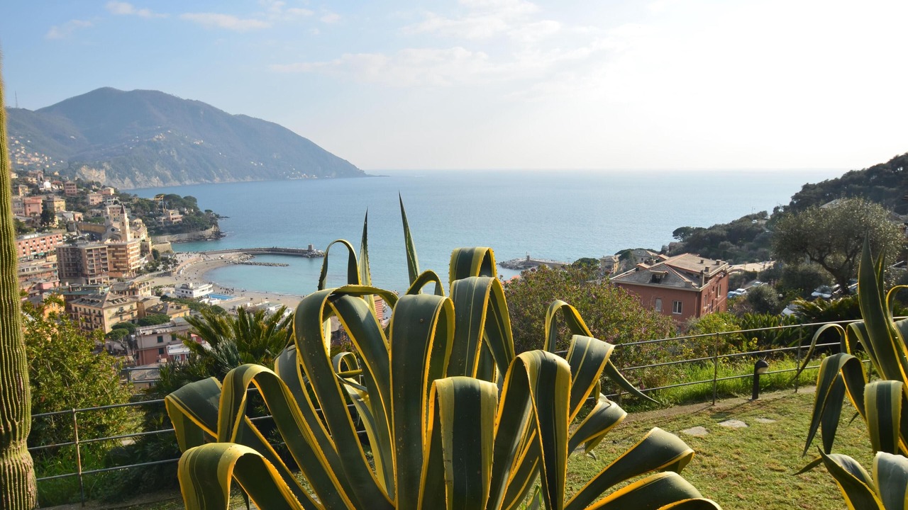 Photo of Others in Recco