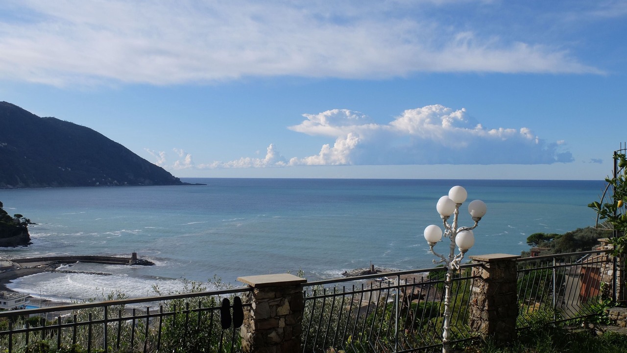 Photo of Others in Recco